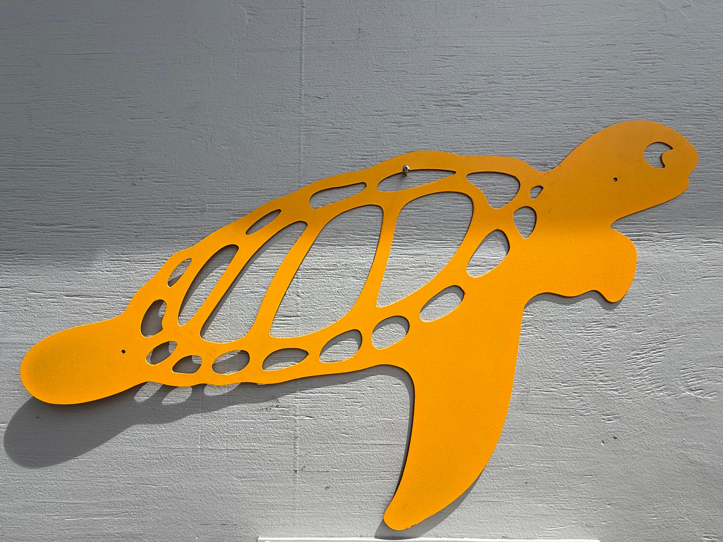 Sea Turtle Sign