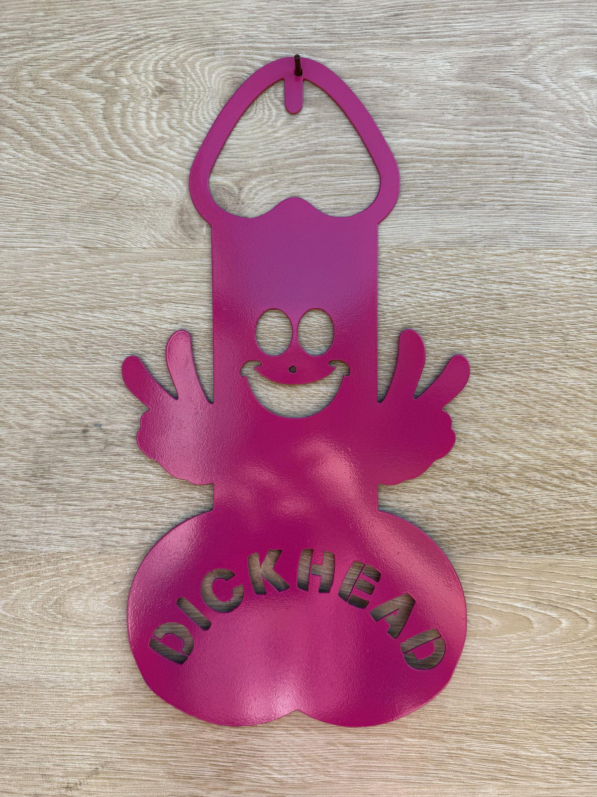 DICKHEAD FUNNY METAL SIGN