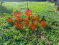 Pumpkin yard stakes