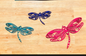Dragonfly Metal Signs