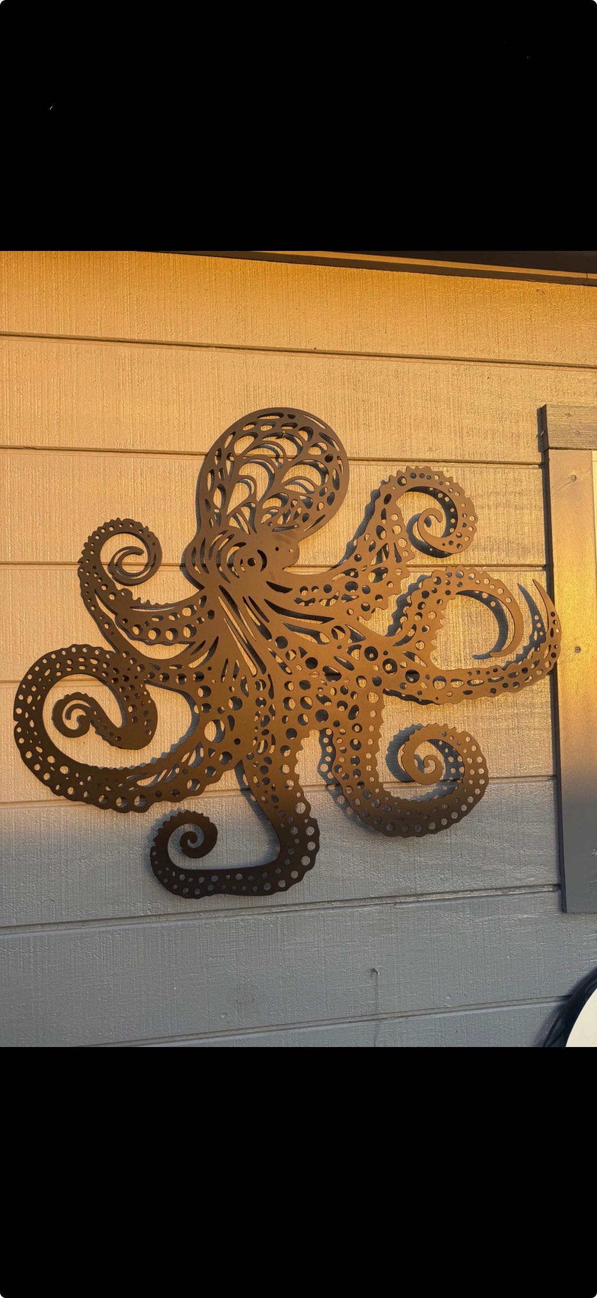 Octopus